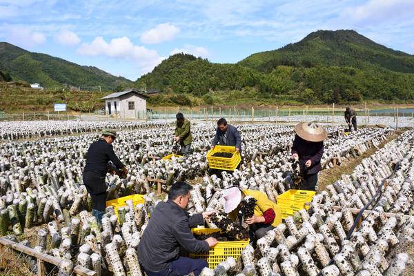 罗源gdp_罗源滨海新城