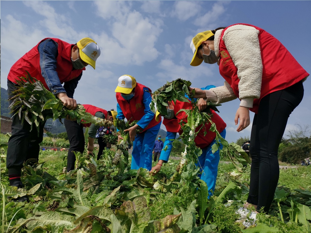 广西新发展交通集团有限公司《“疫”线行动》 广西新发展交通集团有限公司《“疫”线行动》