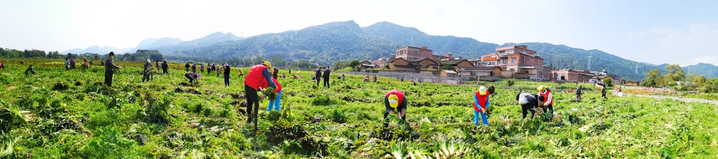 广西新发展交通集团有限公司《“疫”线行动》 广西新发展交通集团有限公司《“疫”线行动》