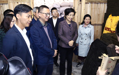 盘石立足数字经济积极参与扶贫攻坚
